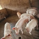 4b11e030-2dad-41ec-a0b0-2d0e109c27cf