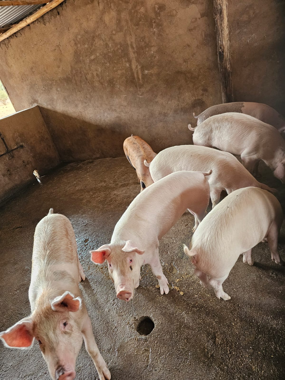 4b11e030-2dad-41ec-a0b0-2d0e109c27cf