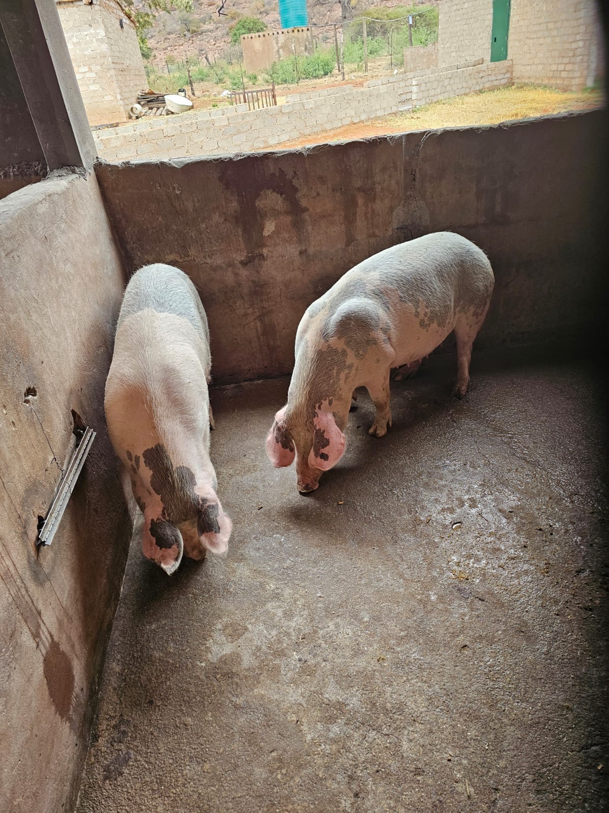 daf07945-c4de-4244-bc4c-e6cdafaf18a2