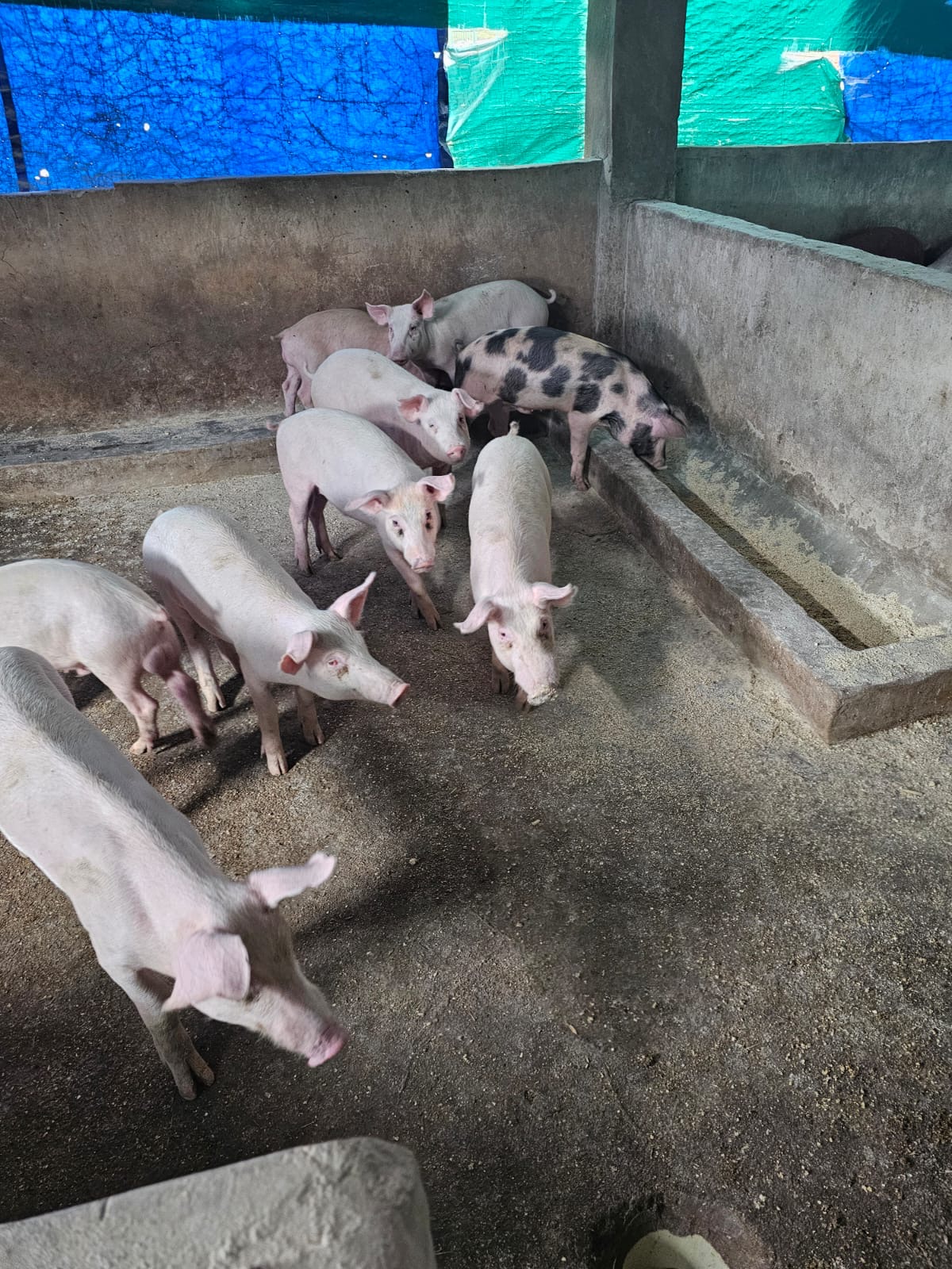 e307ef79-75d1-4ffa-92cc-0675568a7840